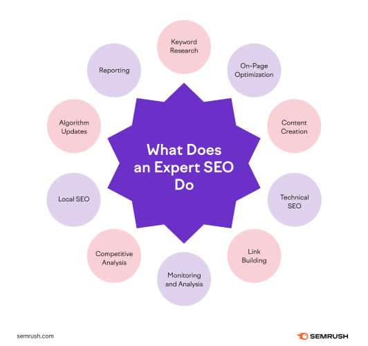 affordable seo services expertise